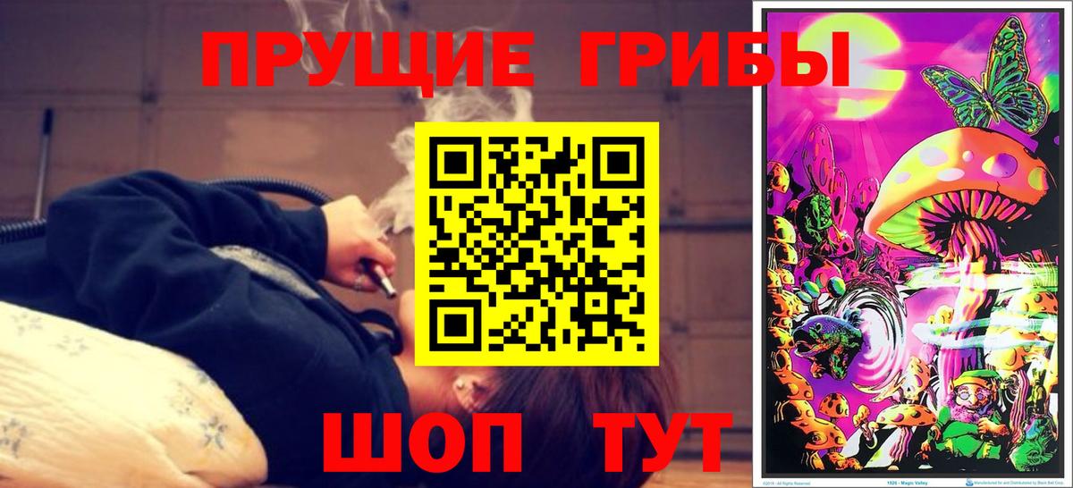 Галлюциногенные грибы Magic Shrooms  Вход с VPN  Каменка  Галлюциногенные грибы мицелий 